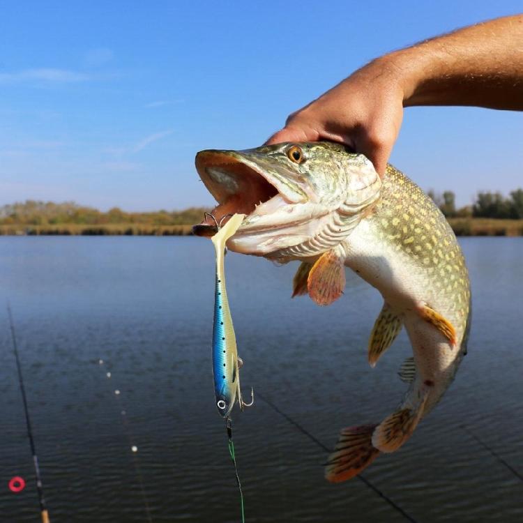 7Pcs Fishing Lure for Trout Walleye Swim Baits Fishing Lures Paddle Tail Swimbaits Artificial Baits for Saltwater