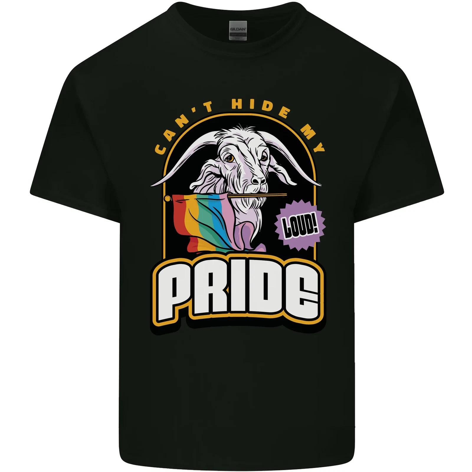 

Cant Hide My Pride LGBT Gay Awareness Kids T-Shirt Childrens 3XL