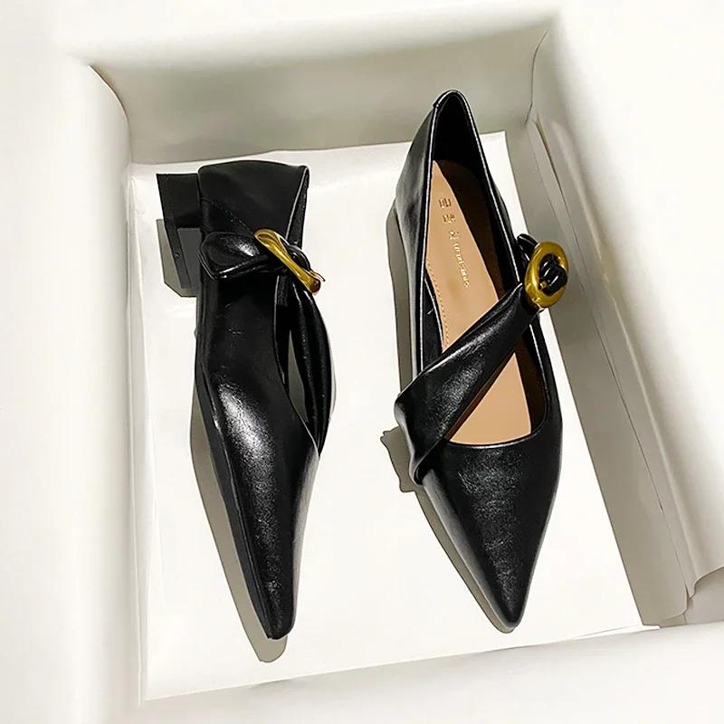 

Мода 2025 Весна Винтажные Женские Туфли Мэри Джейн с Острым Носком Модные Свадебные Туфли на Толстом Каблуке 40 чёрный