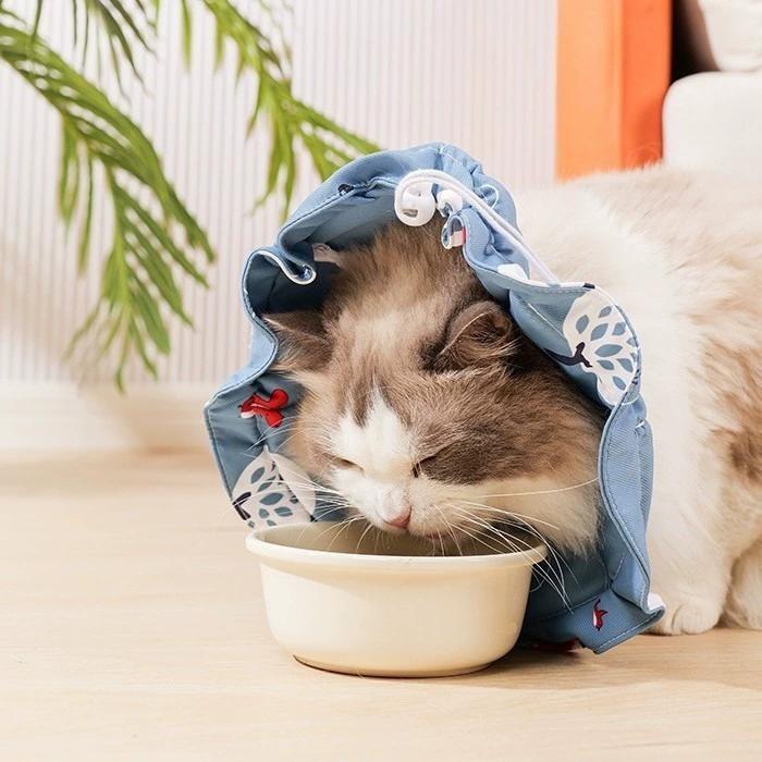 Cat pet neck collar collar deformable anti-scratch collar