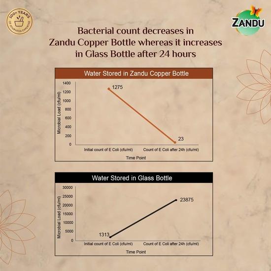 Zandu Copper Bottle (950ml): 100% Pure Copper |BPA Free Water Bottle | Office Bottle | Boosts Immunity| Supports Digestive & Liver Health