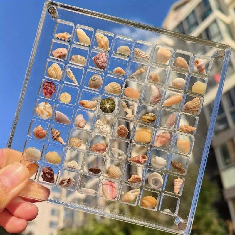 Acryl Quadratische Muschel Aufbewahrungsbox - Transparenter Muschel Vitrine, Mini Strandstein Dekorative Aufbewahrungsrahmen