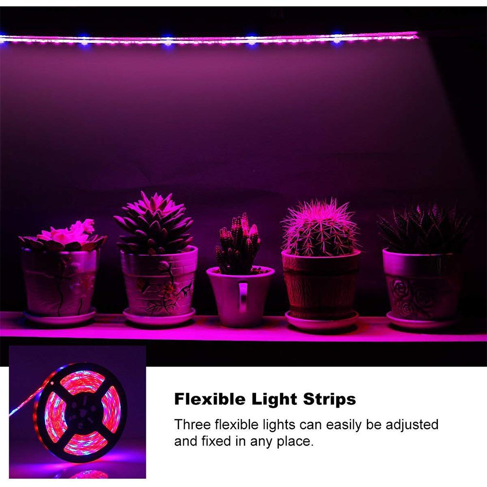 LED Plant Growth Light String 5050 SMD LED Light Waterproof Plant Light for Greenhouse