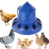 11 Holes Pigeon Feeder Trough Shape Bird Feeding Bucket Food Dispenser Chicken Feeder  Geese