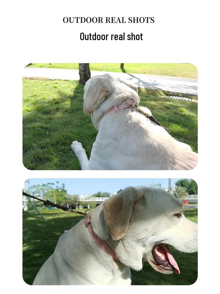 Adjustable Anti-Choke Solid Color PU Leather Pet Collar & Neckerchief for Dogs and Cats