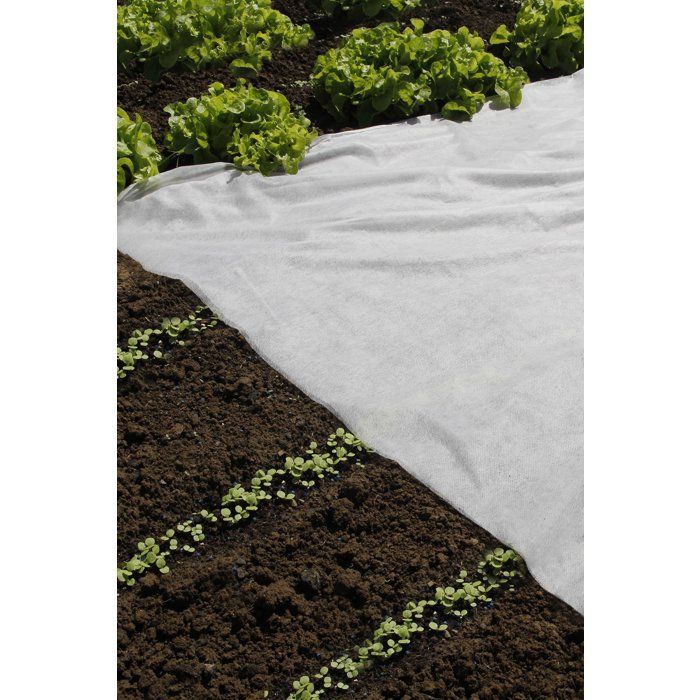 Voile forçage - NATURE - 17g/m² - 2 x 10 m - Blanc