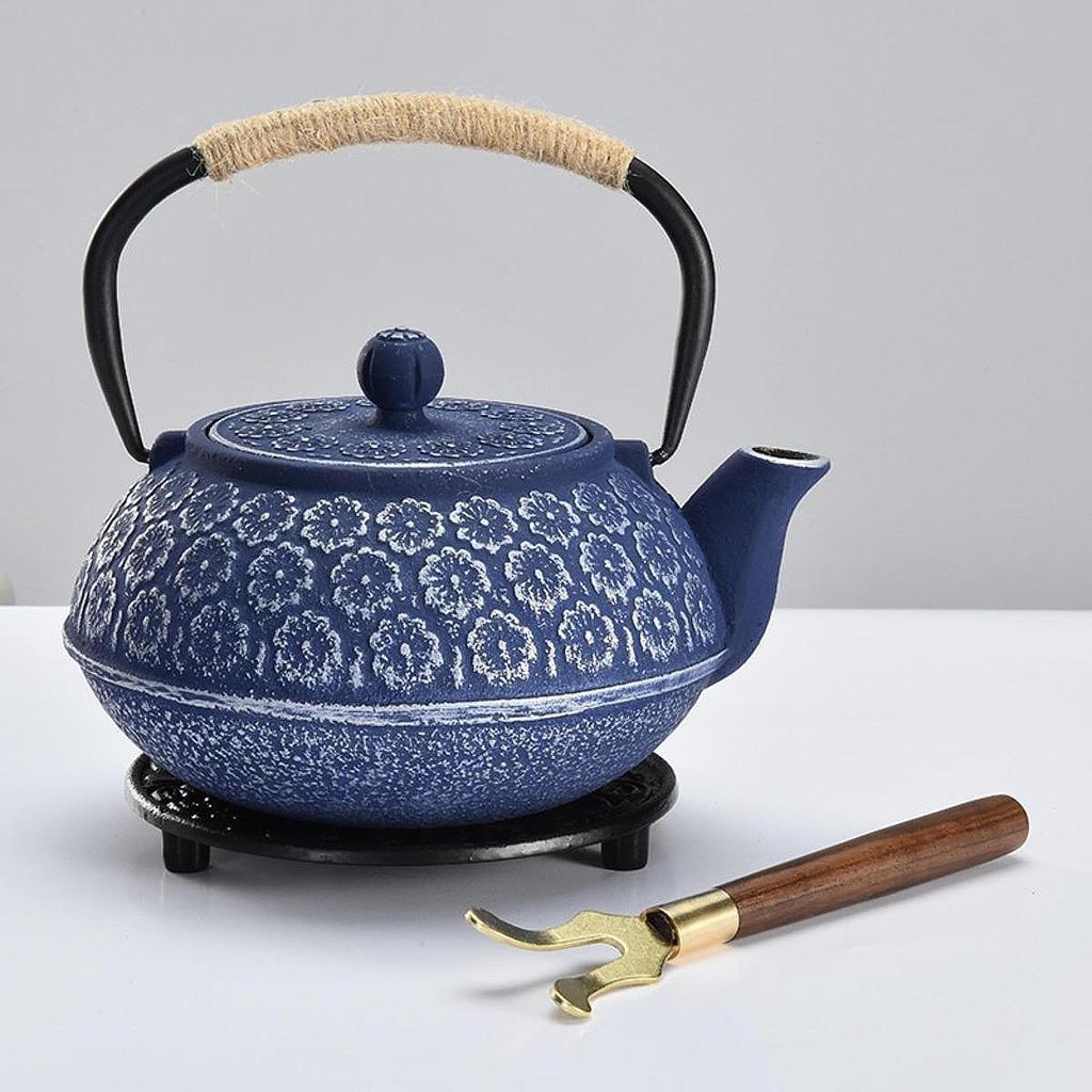 Japanese Cast Iron Teapot Internal Enamel for Loose Leaf Tea Bags Indoor