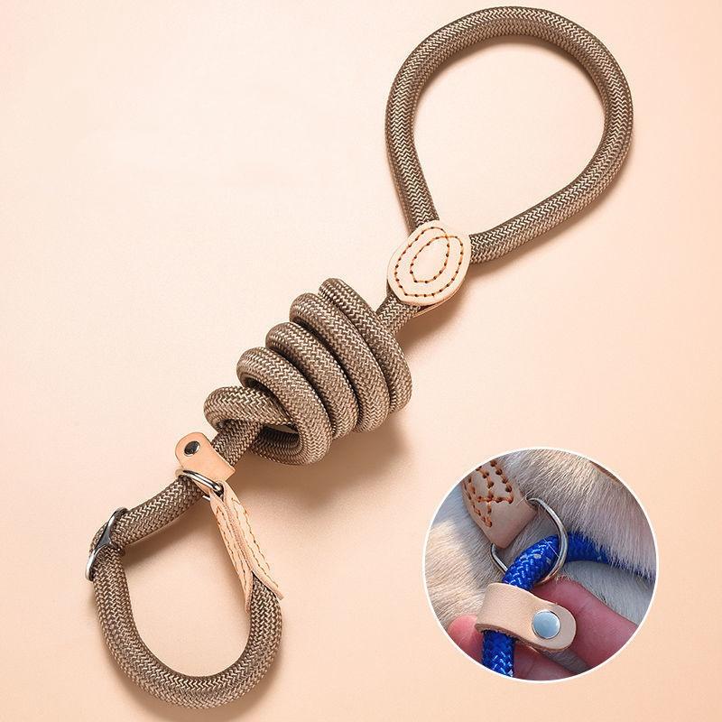 Dog Leash Slip Rope Lead Leash Heavy Duty Braided Rope Adjustable Loop Collar Training Leashes for Small Medium Dogs