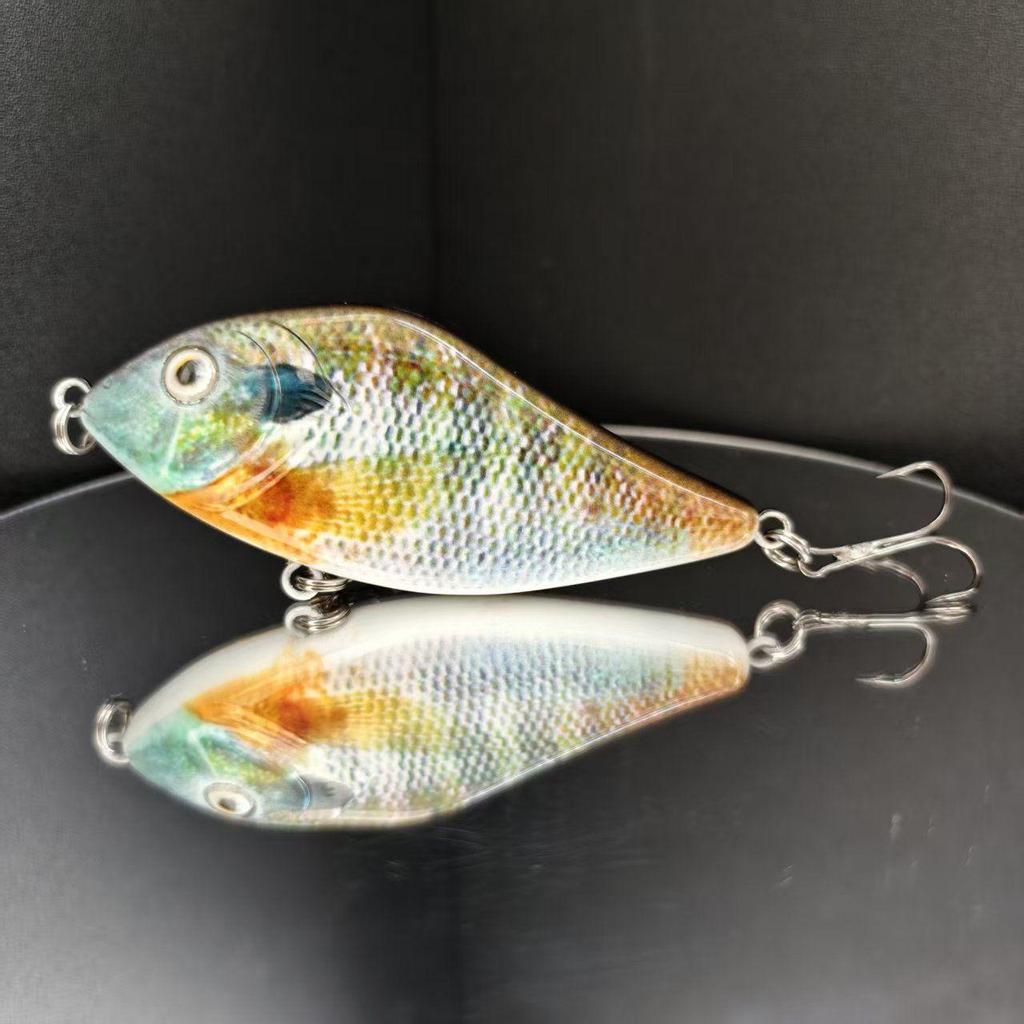 10cm 45g Sinking Pike Jerkbait – The Ultimate Predator Lure,Suitable for Both Saltwater and Freshwater