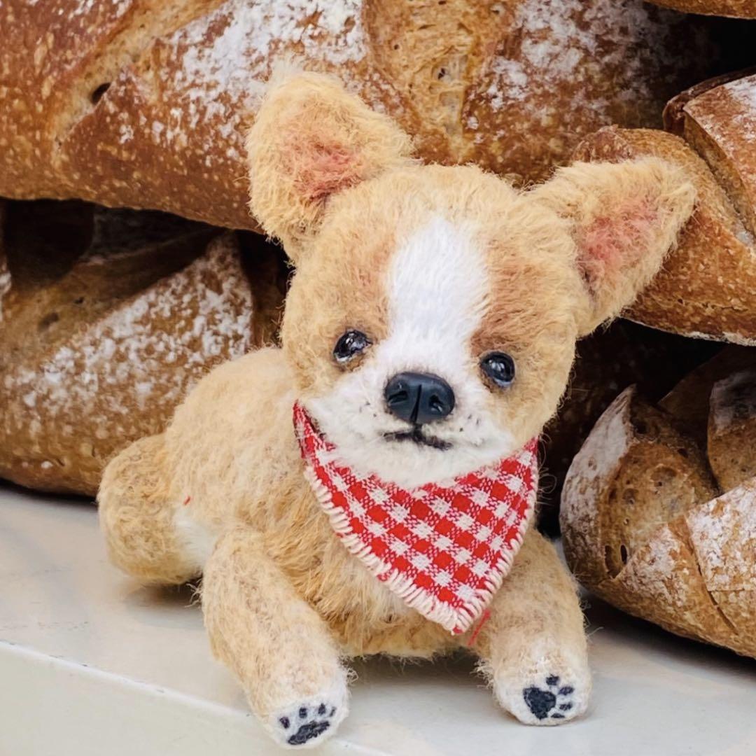 

[USED] Corgi puppy plush toy by an overseas artist, teddy bear, dog, puppy