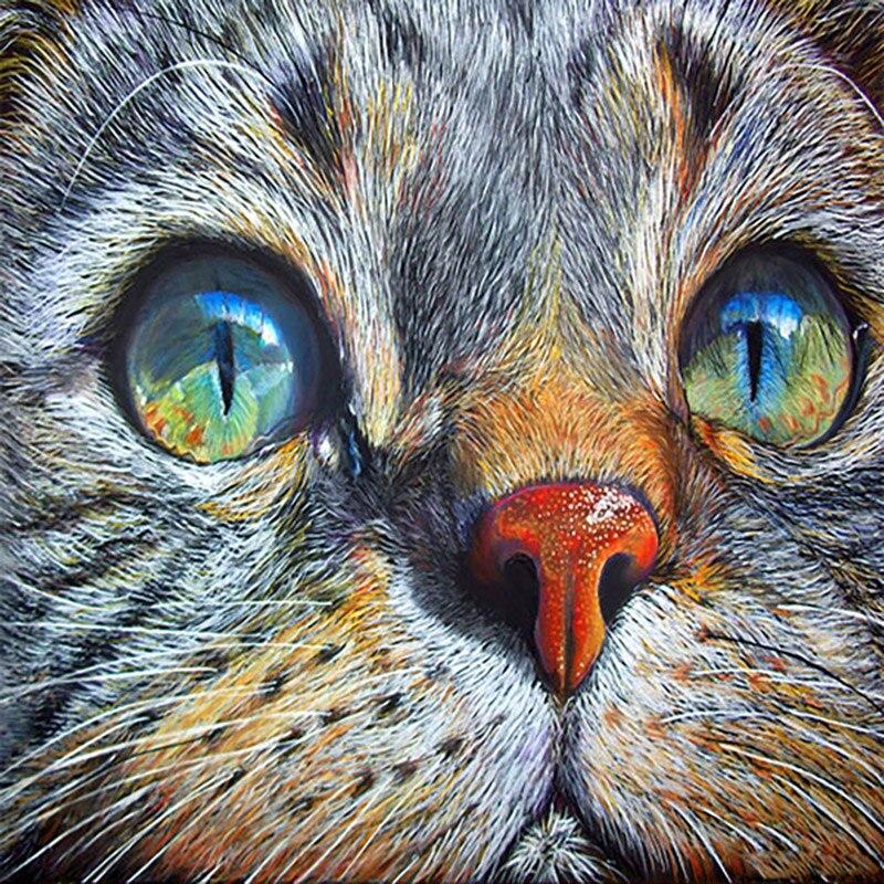 DIY Diamantový obraz Kočka Diamantové vyšívání Zvířecí křížový steh Celokulatý vrták Kamínková ručně vyráběná umělecká výzdoba domova Dárek