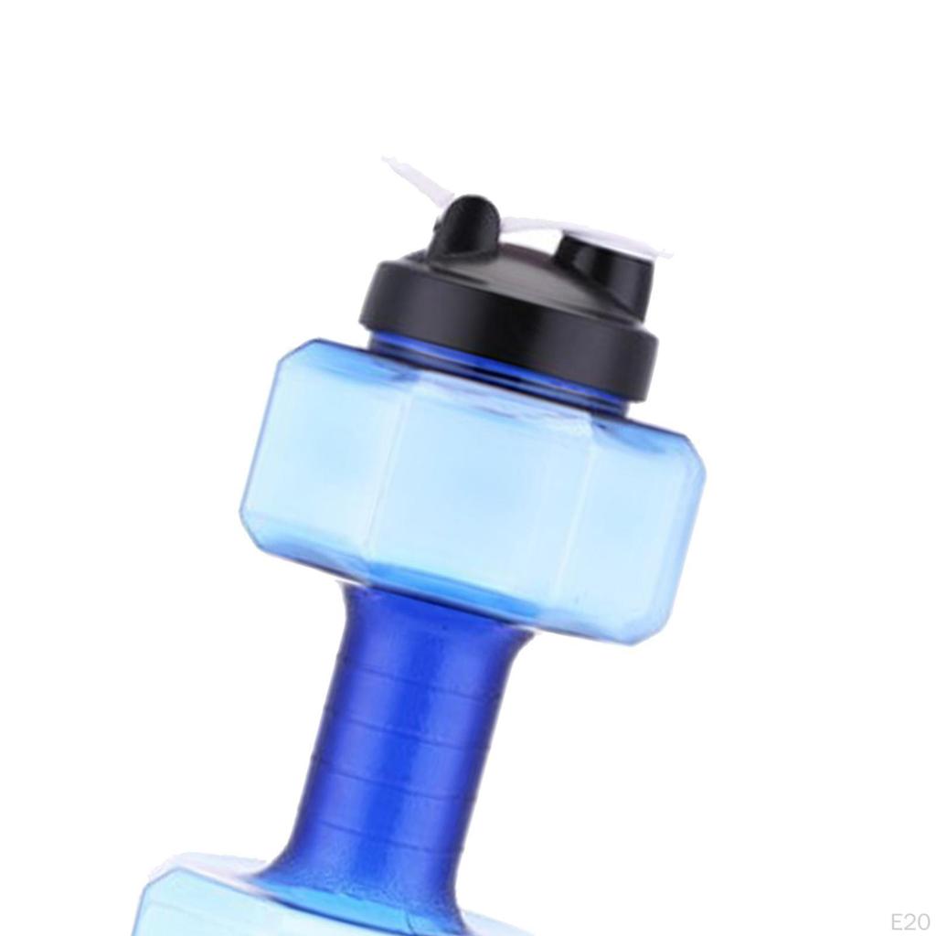 Companion for Fitness Enthusiasts