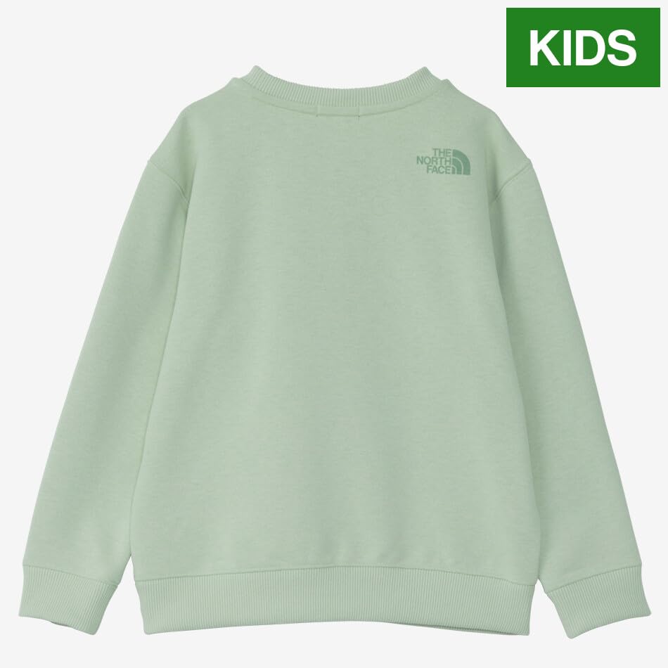 The North Face Colorise Sweat Misty 150 Crew, Sage,
