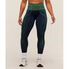 Apex Seamless Leggings Heavy Blue Active Green B2c8d Uds4