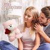 Valentine's Day Teddy Bear with Heart Rose 28cm Pink Plush Toy Stuffed Animal Birthday Gift for Girlfriend Kids