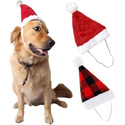 Ropa y calzado – Gorras para perros