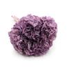 Stabilisierte Hortensie (Hortensie) - Violett