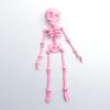 3D Printed Movable Joint Skeleton Figurines Flexible High Human Bone Miniature Creative Fun Decoration Halloween Gifts