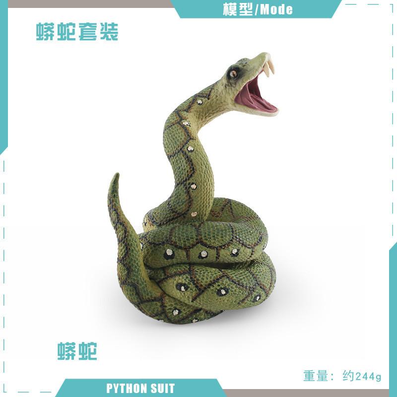 

Detailed Pvc Jungle Snake Model For Kids Interactive Learning And Realistic Display PL1272625 Python