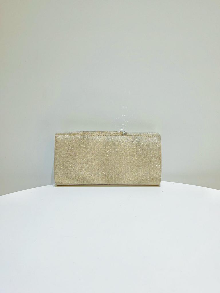 Pochette Brillante con Strass 2023: Busta da sera da donna