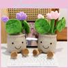 Creative Lotus Cartoon Potted Plant Plush Doll Ornament Home Office Decor Desk