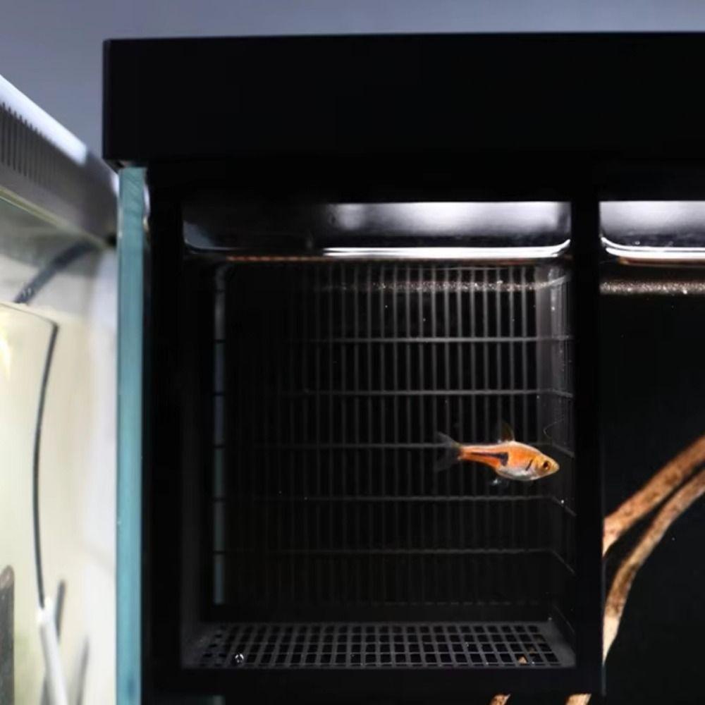 Hangable Aquarium Breeder Box Durable Fish Breeding Box Guppy Breeding Box  Shrimp Breeding