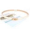 Women's Leather Decorative Buckle Pull-Through Waistband Belt for Skirts and Suits - Punch-Free Design.
