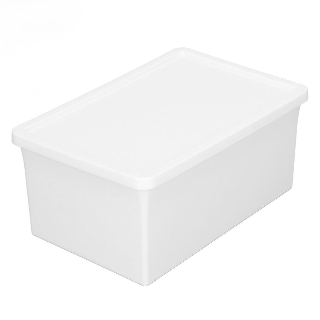 Plastic Desktop Storage Box Multifunction Dustproof Storage Box with Lid for Home DesktopS