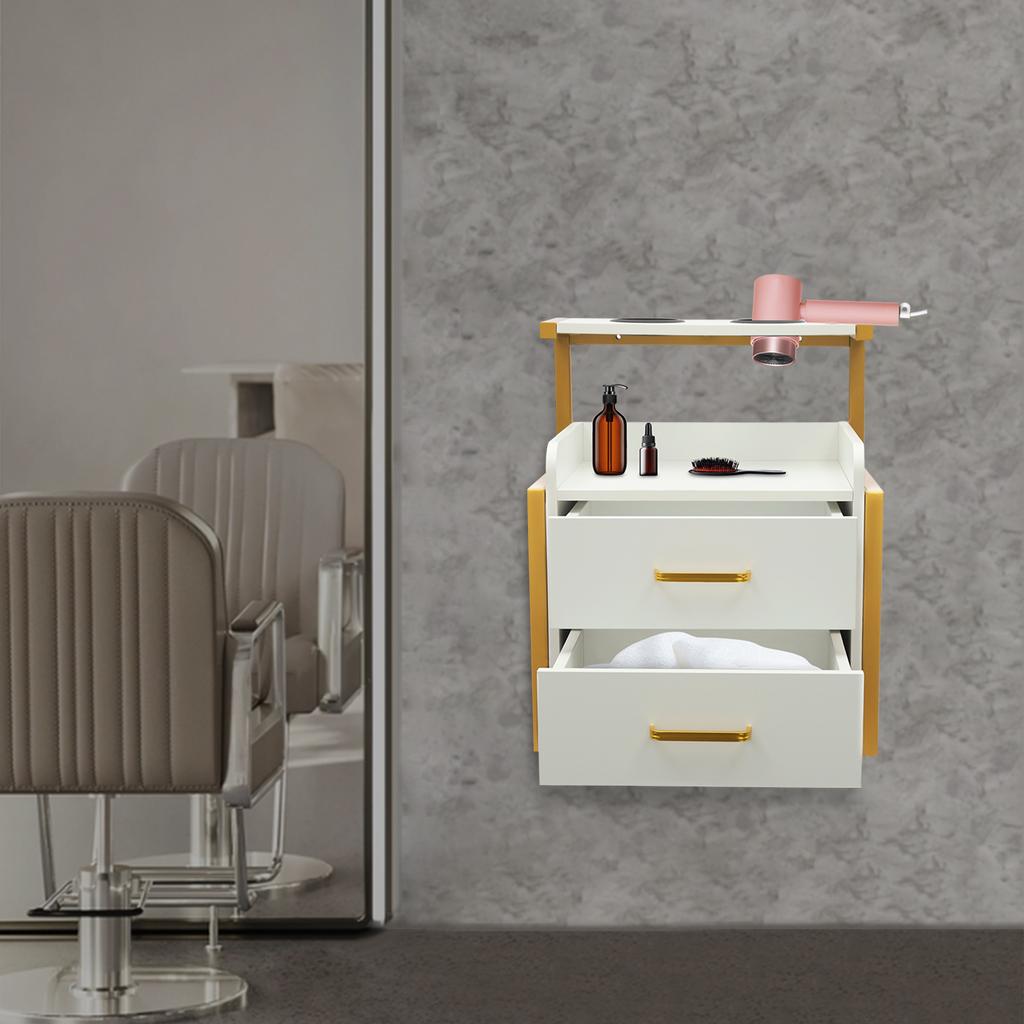 Large Capacity Professional Salon Cabinet, Wall Mounted Stylist Station with 2 Drawers, Holds 50kg for Salon Tools & Supplies