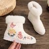 Winter Warm Ankle Boots for Women Casual Anti Slip Plush Fleece Lined Snow Boots With Side Zipper Women's Embroidered Faux Fur Lined Short Booties
