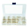 300Pcs 2/2.5/3/4/5/6mm Metric Threaded Inserts Knurled Nuts Inserts for 3D Printing Injections Molding Press Thread Nuts