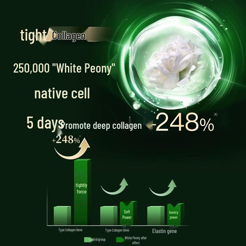 Herborist Tai Chi Neck Cream