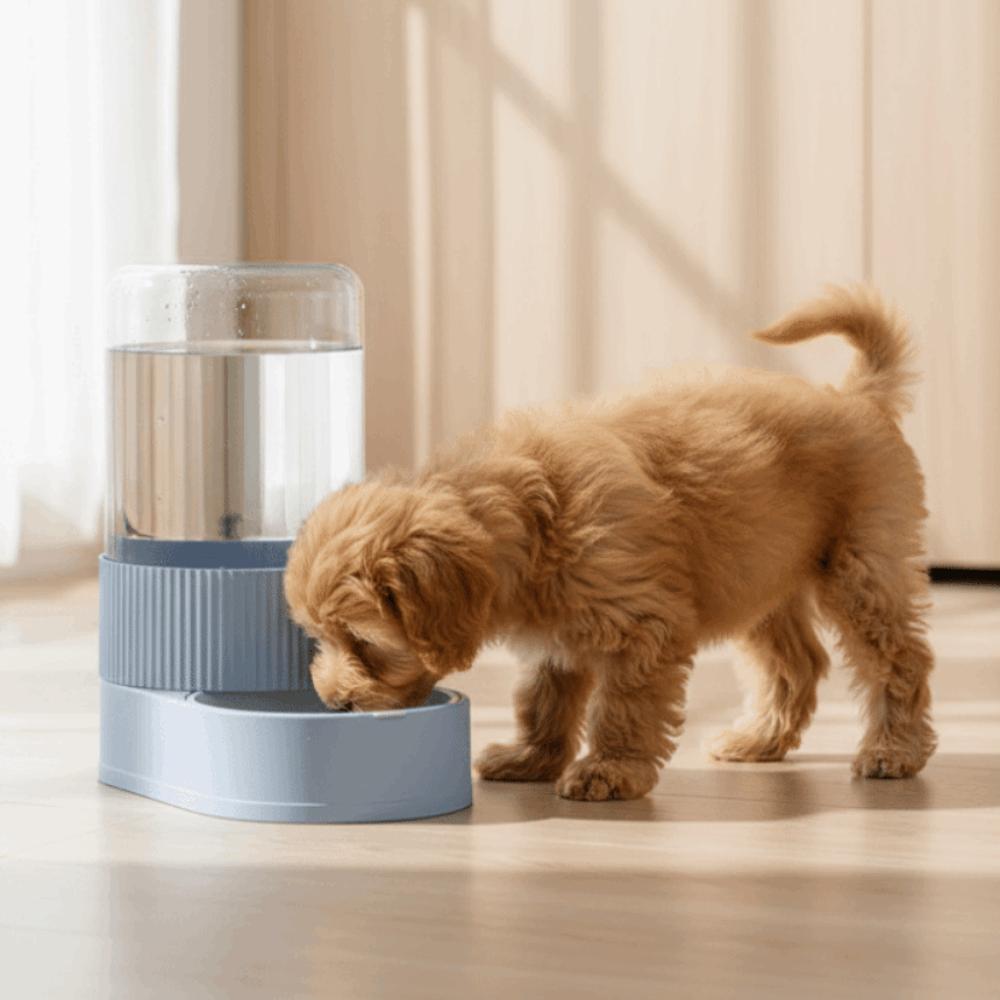 Large Capacity Gravity Food Bowl Transparent Pet Water Dispenser Pet Water Fountain  Daily Feeding
