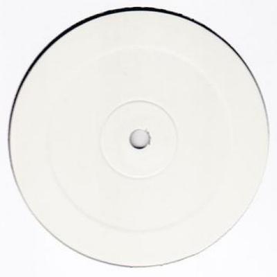 LP Record POLAR - In The End WARMLP001 Blank/Warm Comm 2009 UK Reggae, Ska & Dub