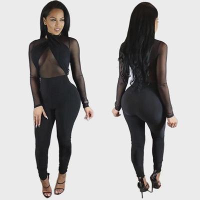 N259 European Fashion Long Sleeve Round Neck Mesh Dress