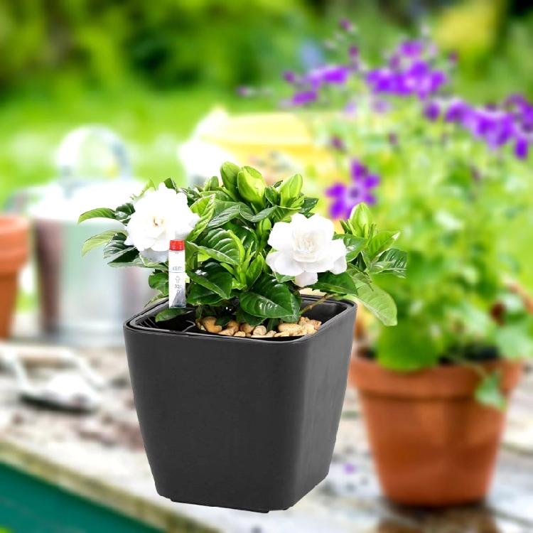 Plastic Self Watering Flowerpot Lazy Desktop Rectangular Square Plant Flower Pots with Water Level Indicators for Office