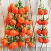 4Pcs Artificial Fruit Vegetable Garland Wall Hanging Fake Banana Strawberry Pumpkin Tomato Cucumber Chili String Farmhouse Kitchen Decoration
