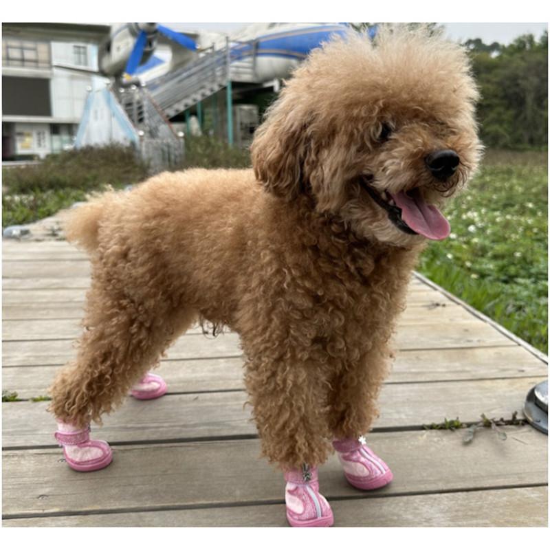 Chaussures Bling pour Petit Chien Maille Respirante Bottes de Course pour Chien Antidérapantes Printemps Été Chaussures pour Chien de Compagnie