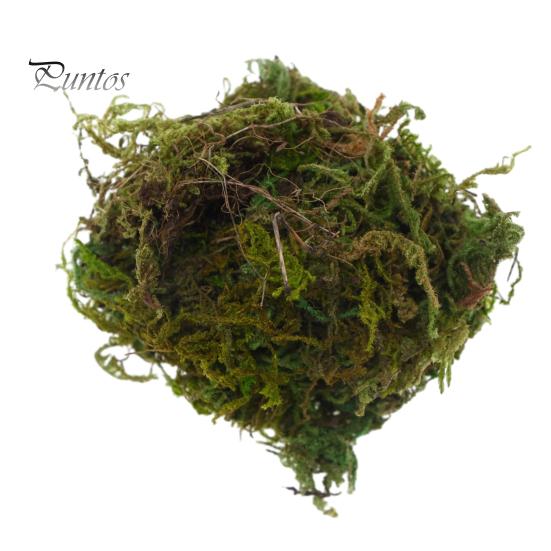 

1 сумка, имитация мха, яркий реалистичный кукольный домик, искусственный мох, зеленые растения для миниатюрных сцен, проекты «сделай сам» армия зеленый