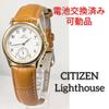 Lightho Watch and Strap Fully Men's W-80 (Battery Replaced, Functional)