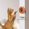 Pumpkin Mint Cat Toy: Teething, Chewing, and Licking Ball for Kitten Self-Entertainment