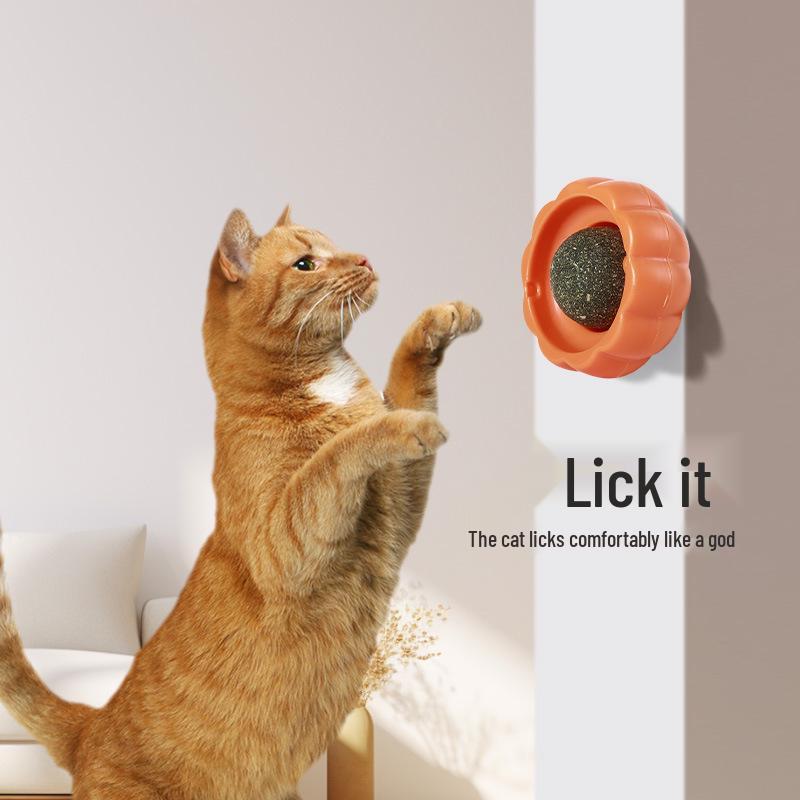Pumpkin Mint Cat Toy: Teething, Chewing, and Licking Ball for Kitten Self-Entertainment