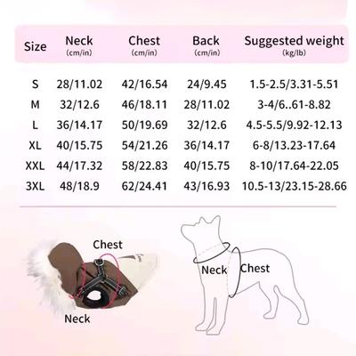 Ropa y calzado – Abrigos y chaquetas para perro