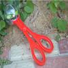 Clean Reptile Insects Scissors Capture Picker Clip Insects Capture Clean Tool Picker Insect Picker