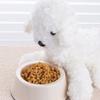[Pet] Morning Baby Homemade Food Skin Health 200 G