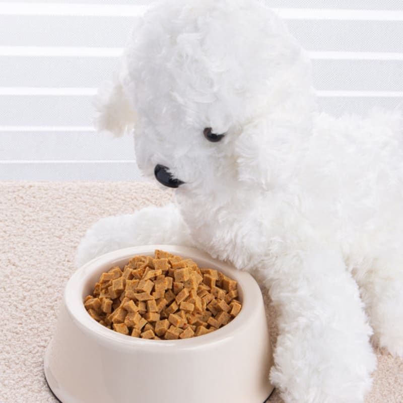 [Pet] Morning Baby Homemade Food Skin Health 200 G