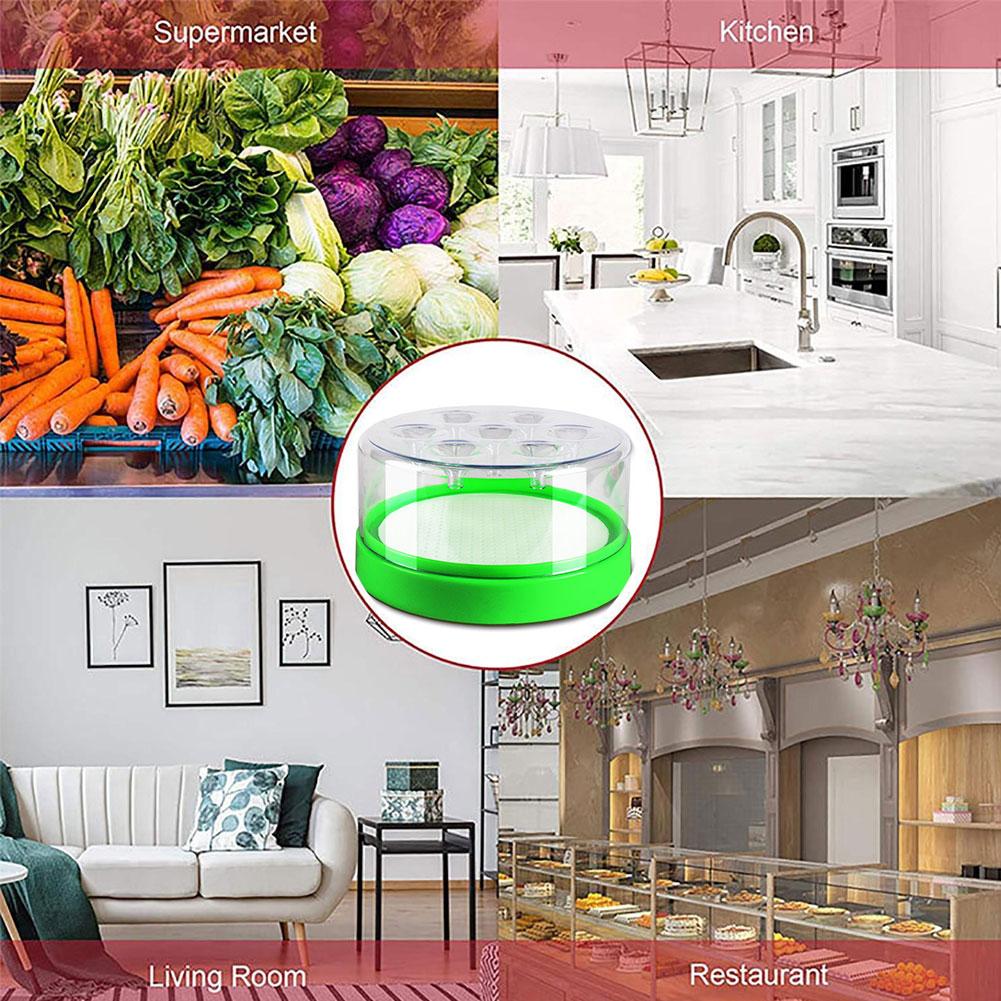 Fly Trap Fully Outdoor Wasp Fly Trap Catcher Beekeeping Catcher Cage Equipment Home Insect Reject Control Catcher Indoor Outdoor