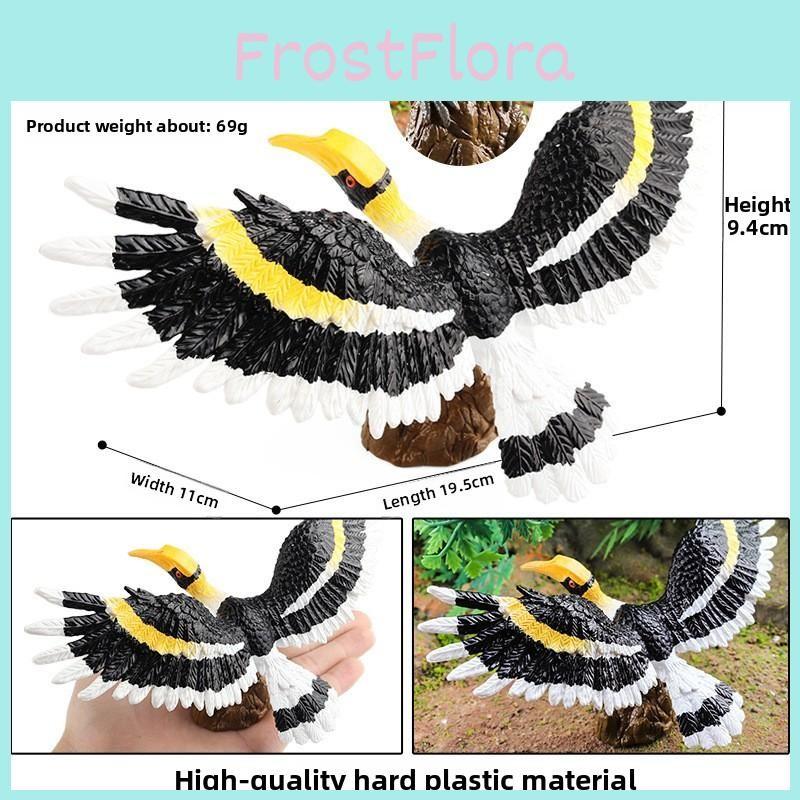 Model Wildlife Animal Solid Plastic Parrot And Hornbill Figures For Gift Kids