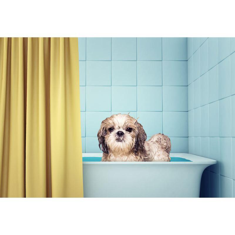 5D DIY Diamond Painting Kit Animal Pattern Cross Stitch Landscape Mosaic Diamond Embroidery Home Decoration Birthday