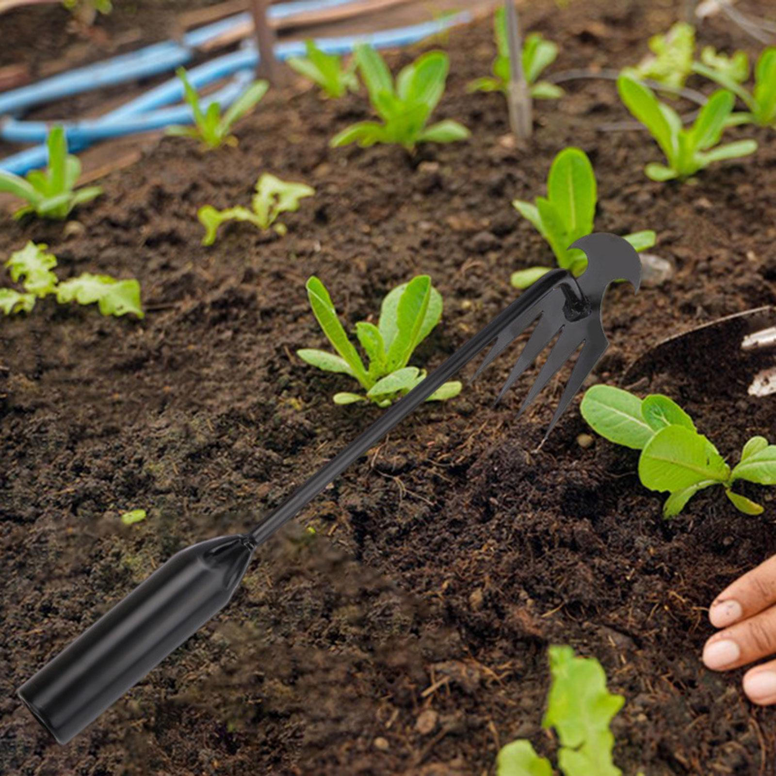 

Hand Weeder for Effective Removal in Gardens 30cm